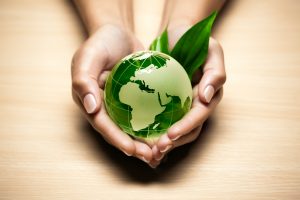 five ways to go green and save the planet